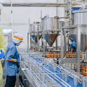 food factory pest control in dubai