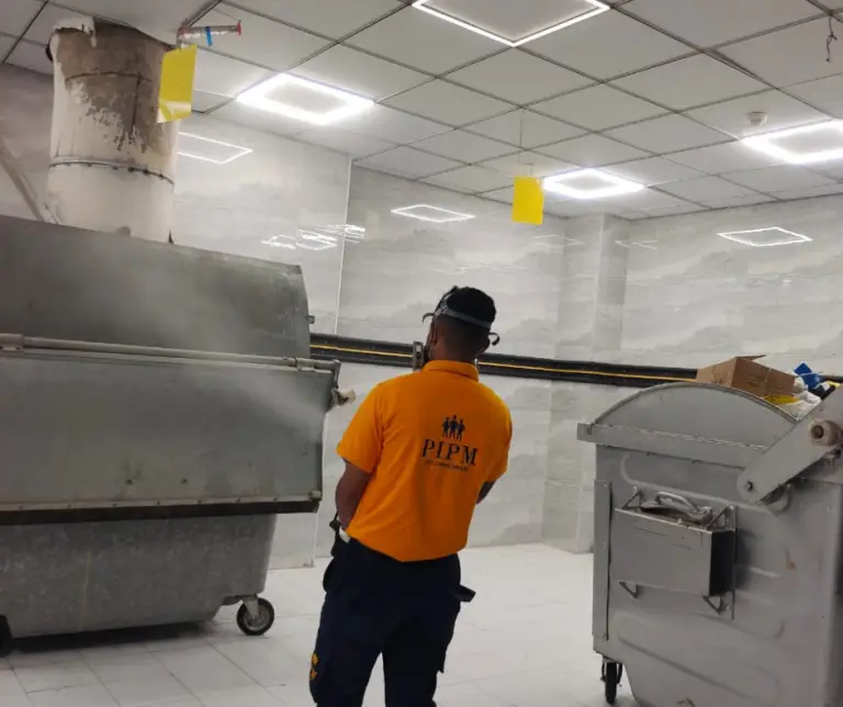 pest control A pest control technician inspecting a facility in Dubai, showcasing AMC Pest Control Dubai & Sharjah services. PIPM
