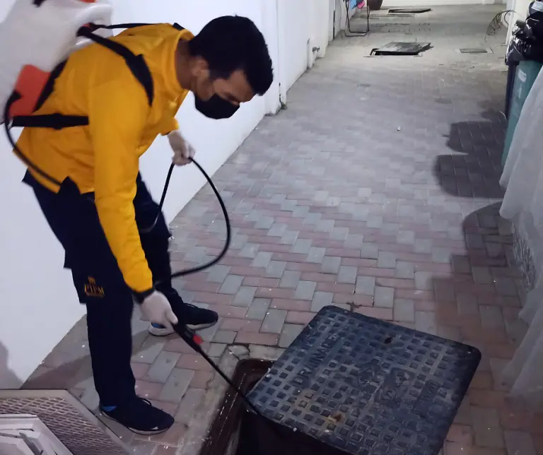 pest control Technician from AMC Pest Control Dubai & Sharjah performing pest management services. PIPM