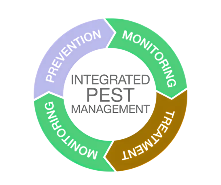 pest control Visual representation of Integrated Pest Management (IPM) strategies for effective pest control in Dubai. PIPM
