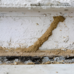 untitled design 2026 04 22t131302.203