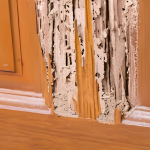 untitled design 2026 04 22t131353.343