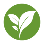 untitled design (27)