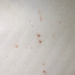 untitled design (69)