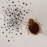 untitled design (70)